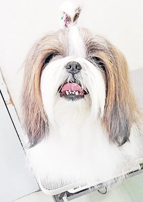 眞邉モモちゃん