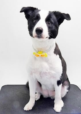 中薗シェリーちゃん