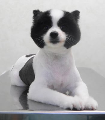 森崎マリアンちゃん