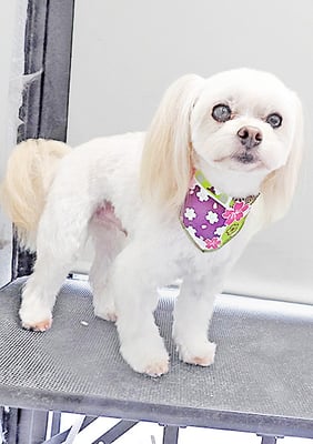 大脇ココアちゃん