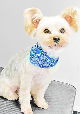 源川源之介ちゃん