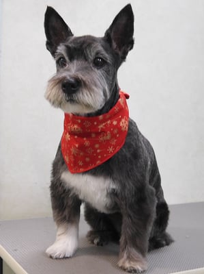 蔵薗ヒメちゃん