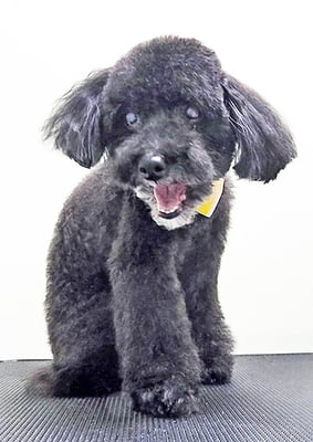 中井ヒナちゃん