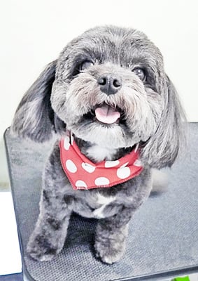 上甫木柚ちゃん