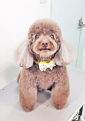 山口クレアちゃん