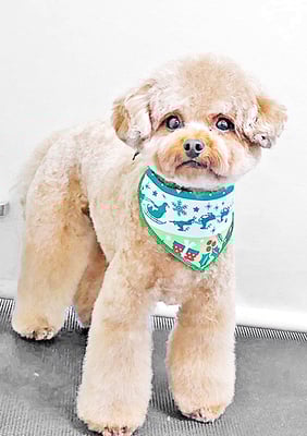 二見りくちゃん