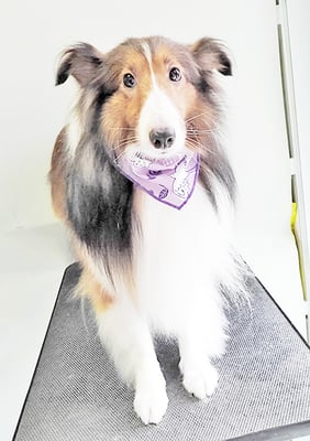 國生レイラちゃん