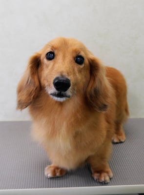 﨑戸ジュリアちゃん