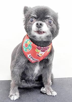 森崎シロちゃん