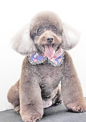 山口クレアちゃん