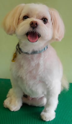 大脇ココアちゃん