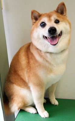 竹崎くうちゃん