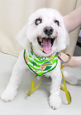 山口ふうたちゃん