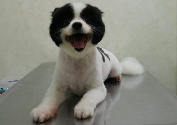 森崎マリアンちゃん