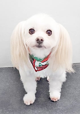 大脇ココアちゃん