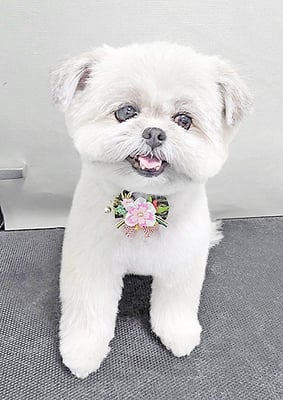 太崎ちゅらちゃん