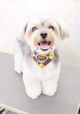 有馬まりんちゃん