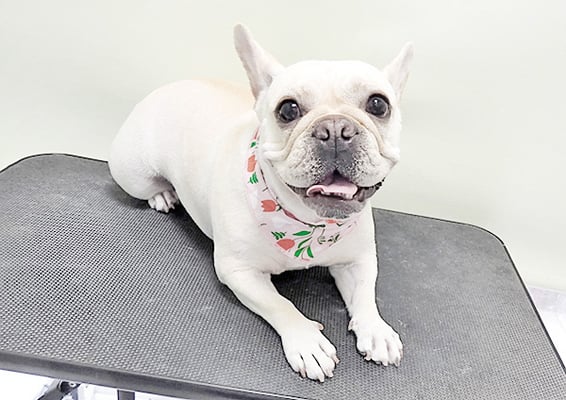 阿部花子ちゃん