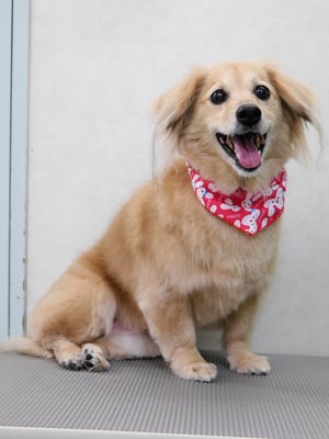 江口エルちゃん