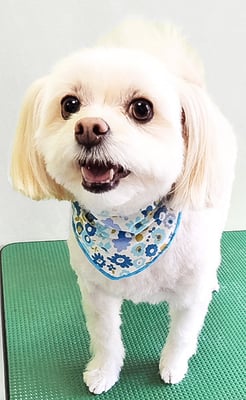 大脇ココアちゃん