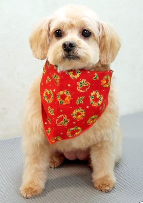 大脇芽生ちゃん