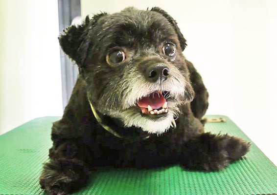 濵田リヨンちゃん