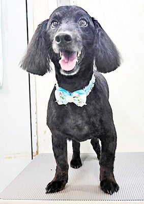 渕之上くうちゃん