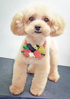 辻チロルちゃん