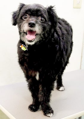 濵田リヨンちゃん