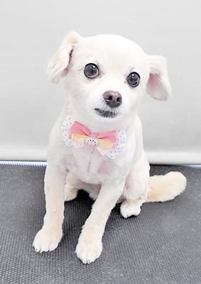 酒井ひなちゃん