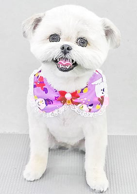 太崎ちゅらちゃん