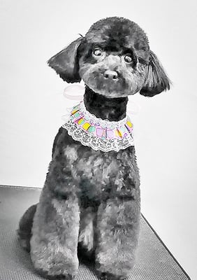 野口サニーちゃん