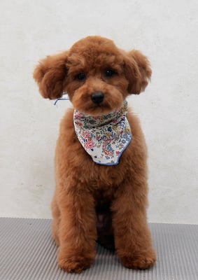 森田諭吉ちゃん