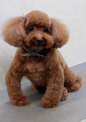 迫田リクちゃん