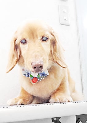 前薗パルちゃん