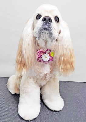 福富ベリーちゃん