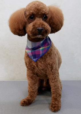 山元風介ちゃん