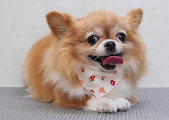 川田オカンちゃん