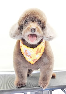 山口クレアちゃん