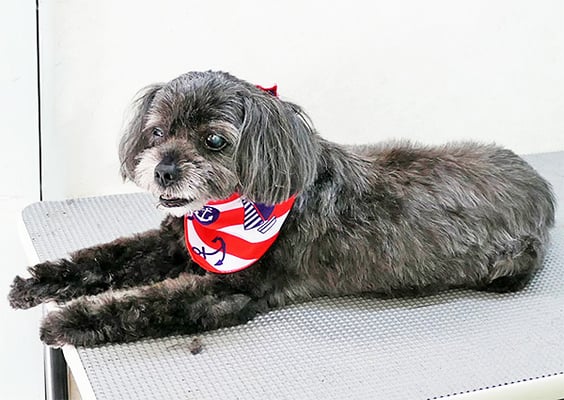 八郷ベンちゃん