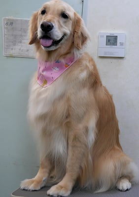 美代ジューンちゃん