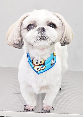 久永ナルちゃん