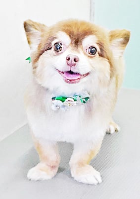 上釜カイちゃん