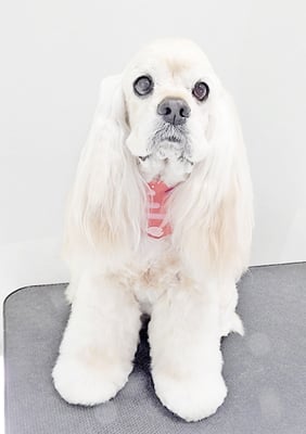 福富ベリーちゃん