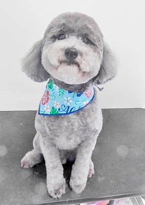 橋口最中ちゃん