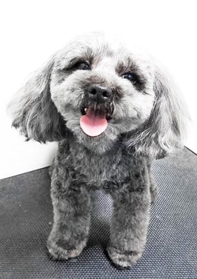 森崎ラブちゃん