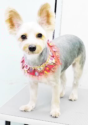 山下ユキちゃん