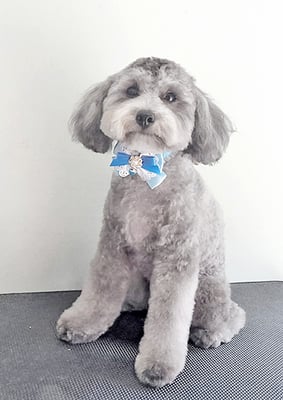 菅原そらちゃん