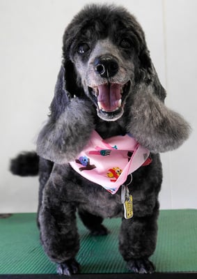 梶原リヴちゃん