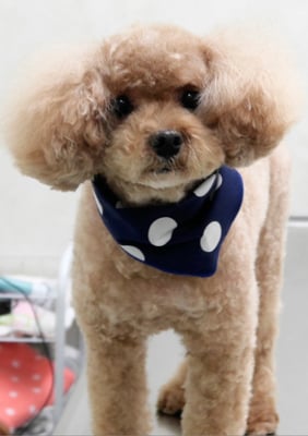 山下イヴちゃん